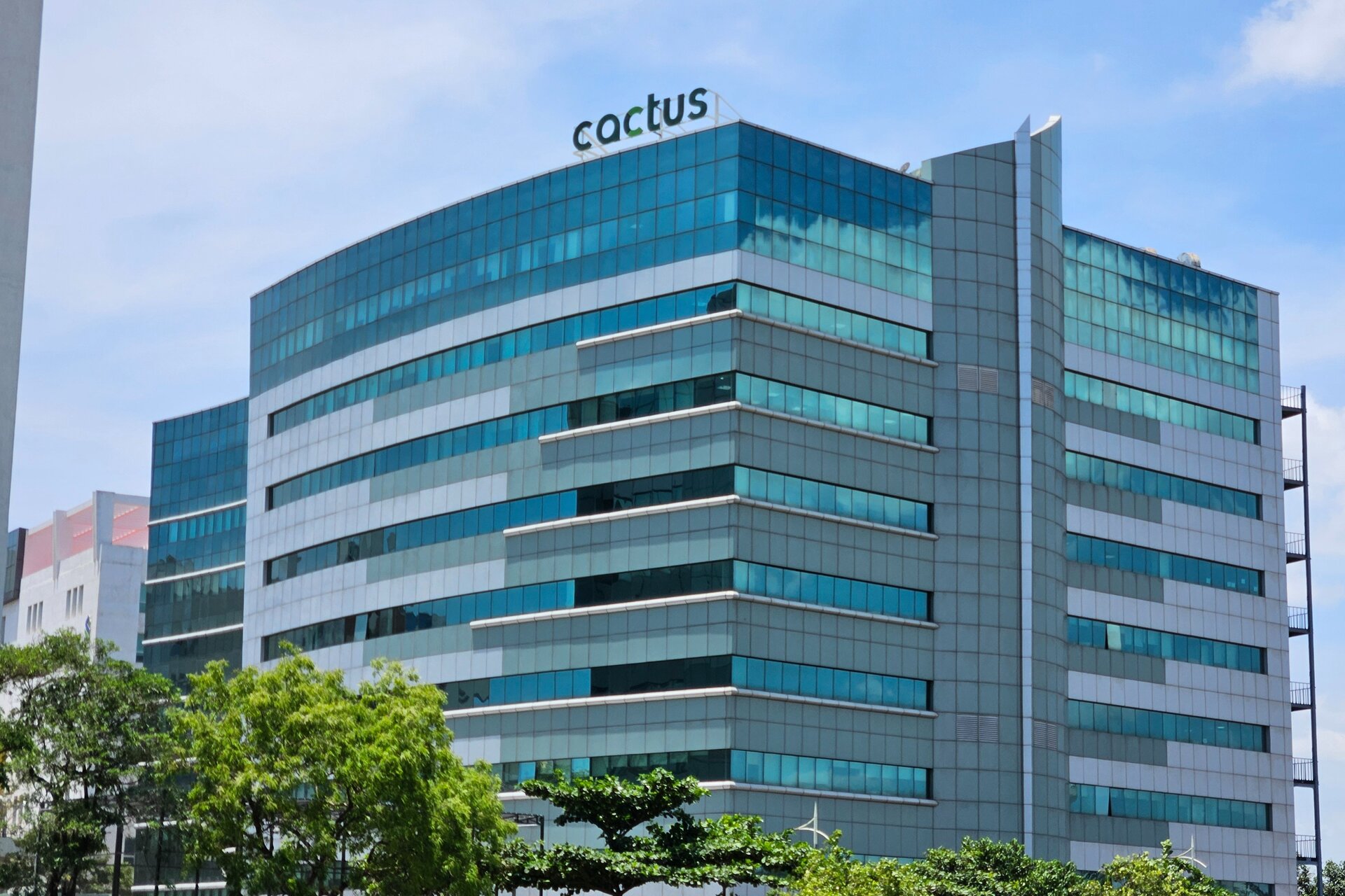 Cactus’un gelir ve kârı azaldı