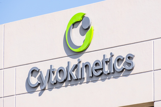 Cytokinetics’in zararı arttı