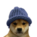 Dogwifhat Image