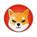 Shiba Inu Image