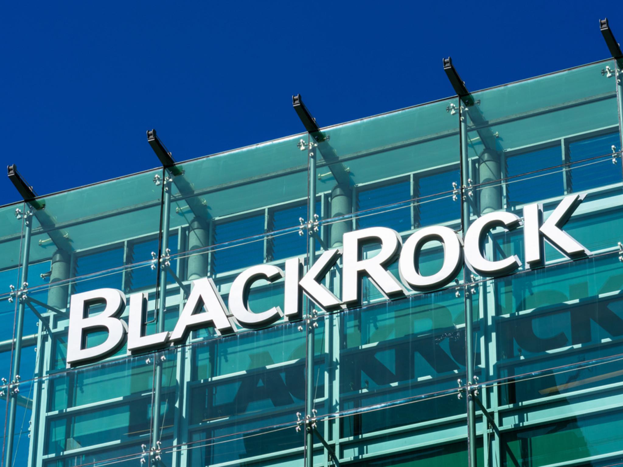 BlackRock’tan 22,8 milyar dolarlık liman satın alımı