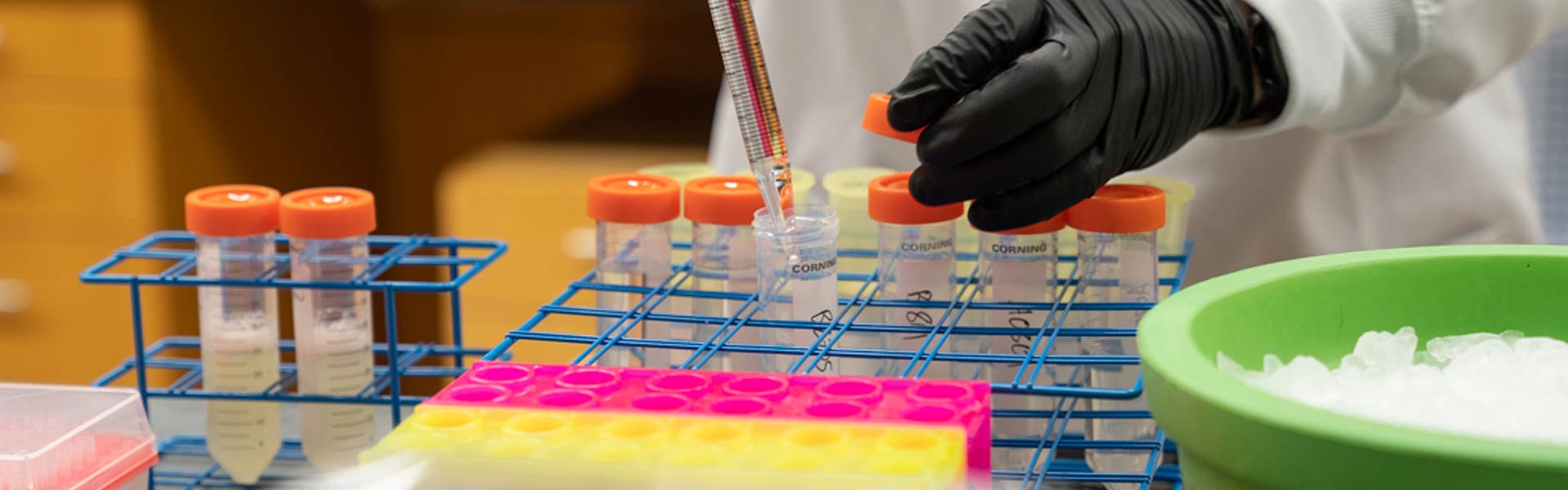 TScan Therapeutics’in zararı beklentileri aştı