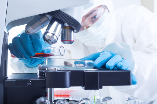 BioCardia’ya Japonya’dan patent onayı