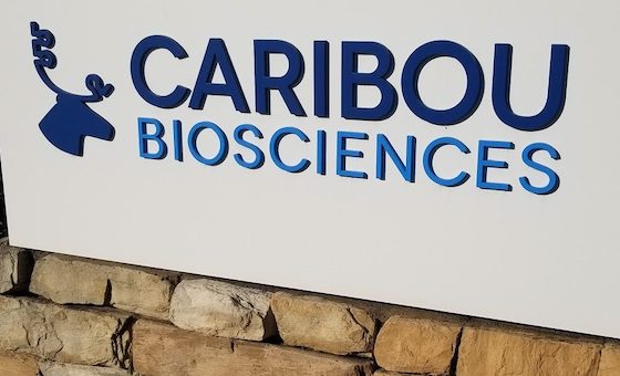 Caribou Biosciences’ın gelirleri beklentilerin altında kaldı