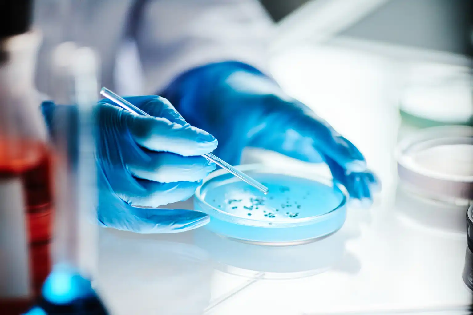 Tenaya Therapeutics’in zararı beklentilerin altında