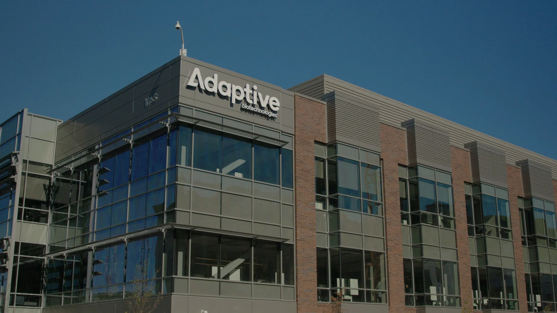 Adaptive Biotechnologies’ten lenfoma testinde önemli gelişme