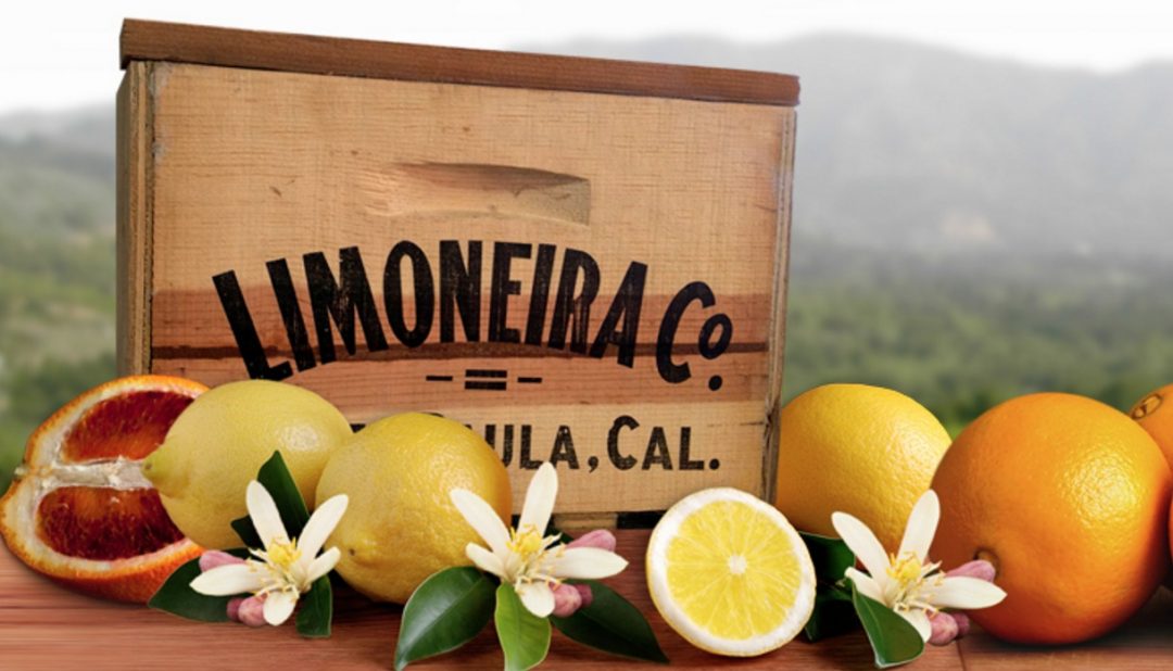 Limoneira’nın zararı azaldı ancak gelirleri düştü