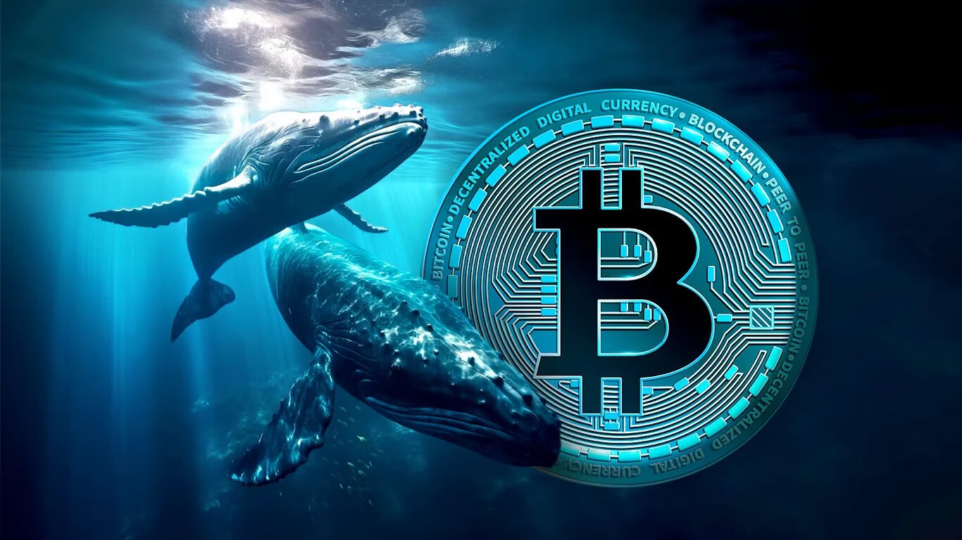 Uzun vadeli BTC yatırımcıları, volatiliteye rağmen ralli bekliyor – Glassnode