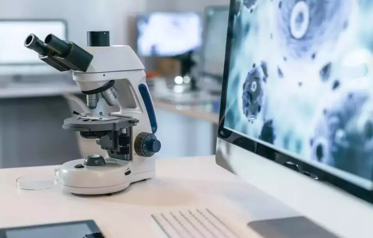 Terns Pharma’nın zararı beklentilerin altında