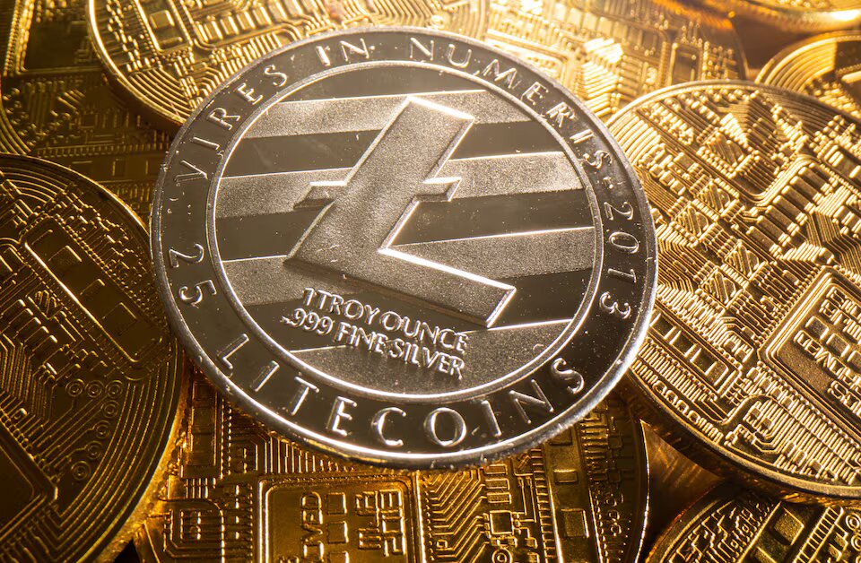 Balinaların alım yaptığı iki altcoin