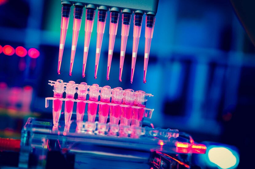 Lantern Pharma’nın zararı arttı