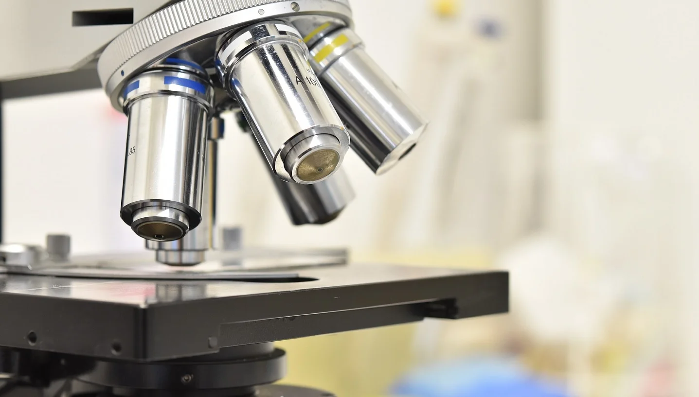 ImmunoPrecise Antibodies’in zararı arttı