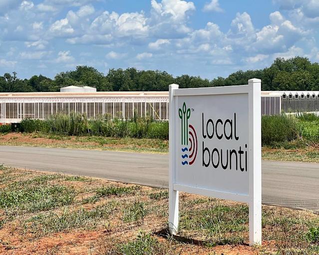 Local Bounti’nin zararı arttı