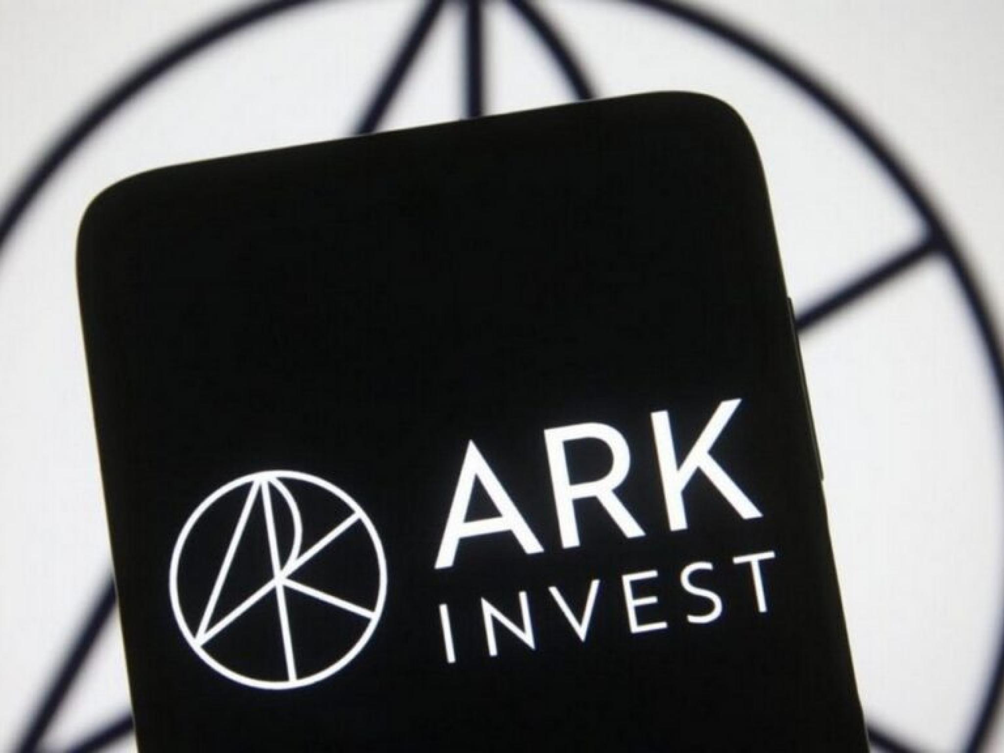 Ark Invest, Robinhood hisselerine almaya devam etti