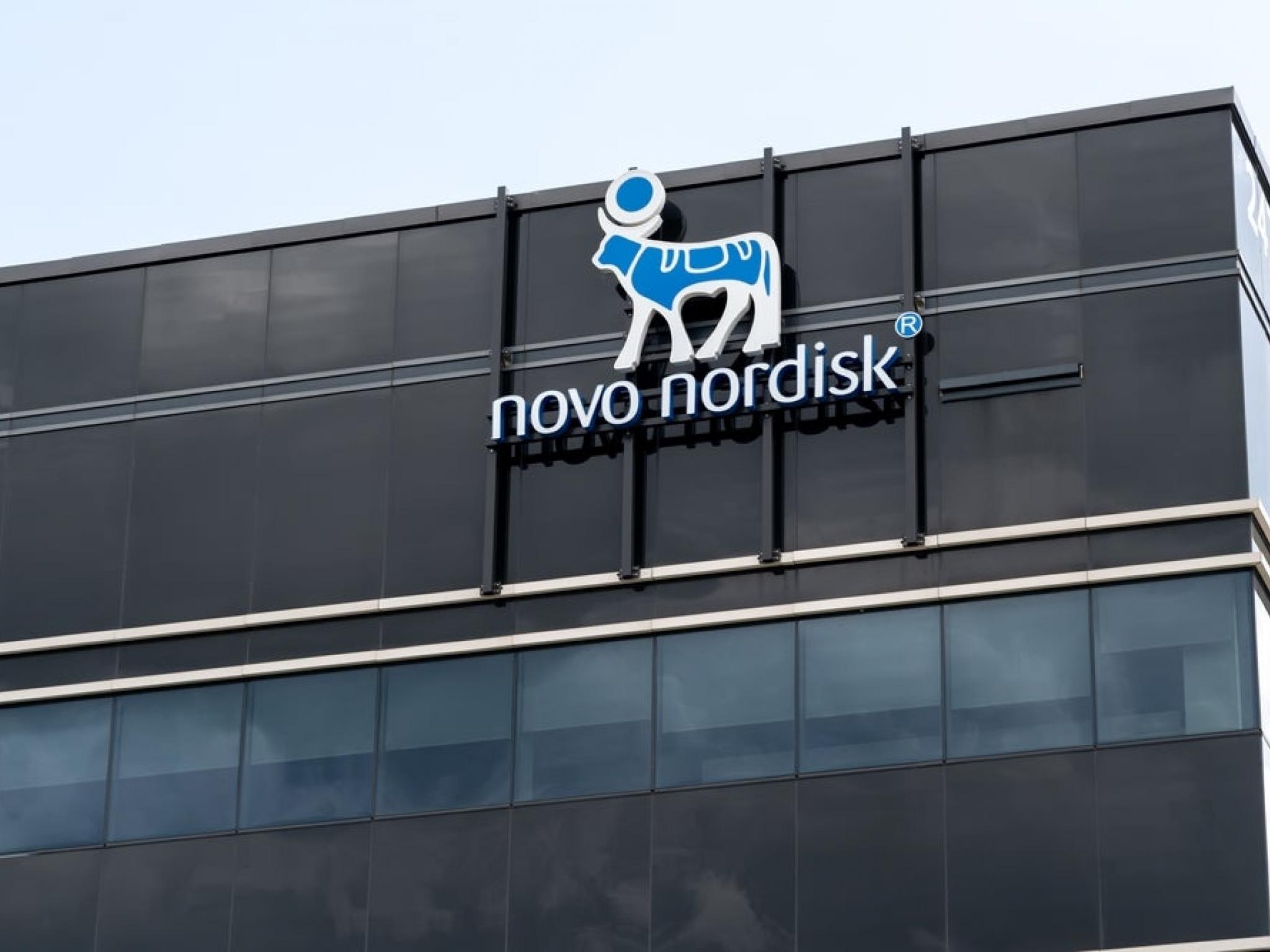 Novo Holdings 2024’te 8,7 milyar dolar gelir elde etti