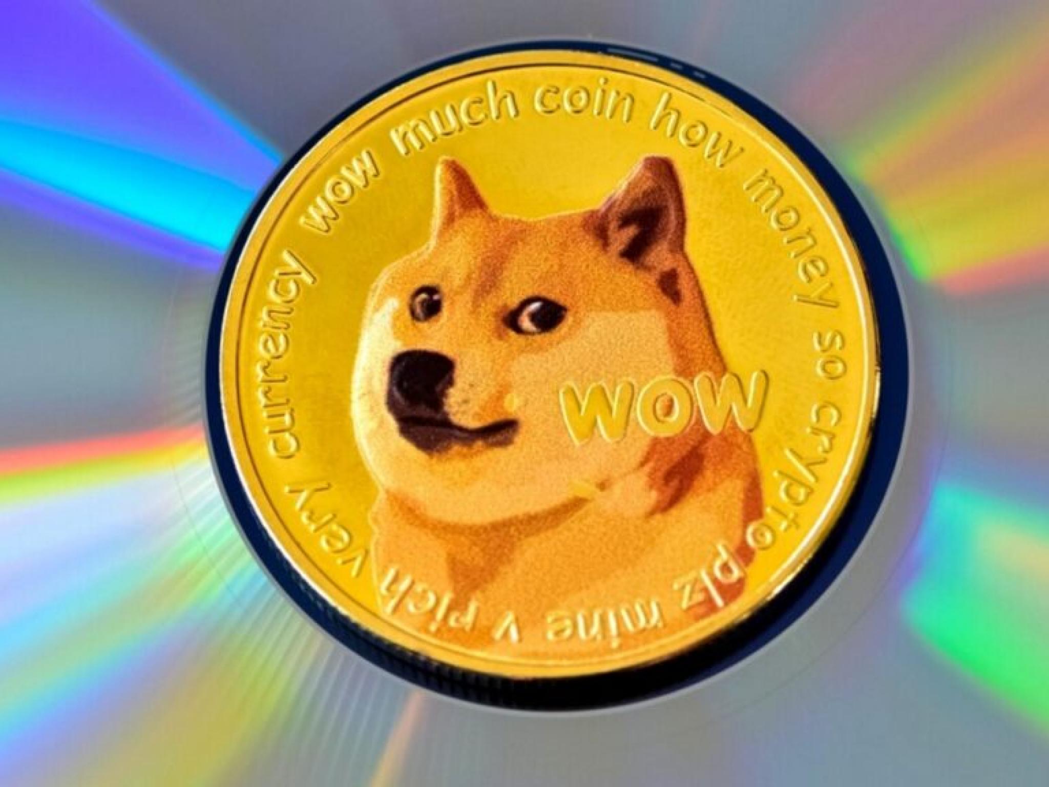 Dogecoin, nisanda 120 milyon dolar çıkış kaydetti 