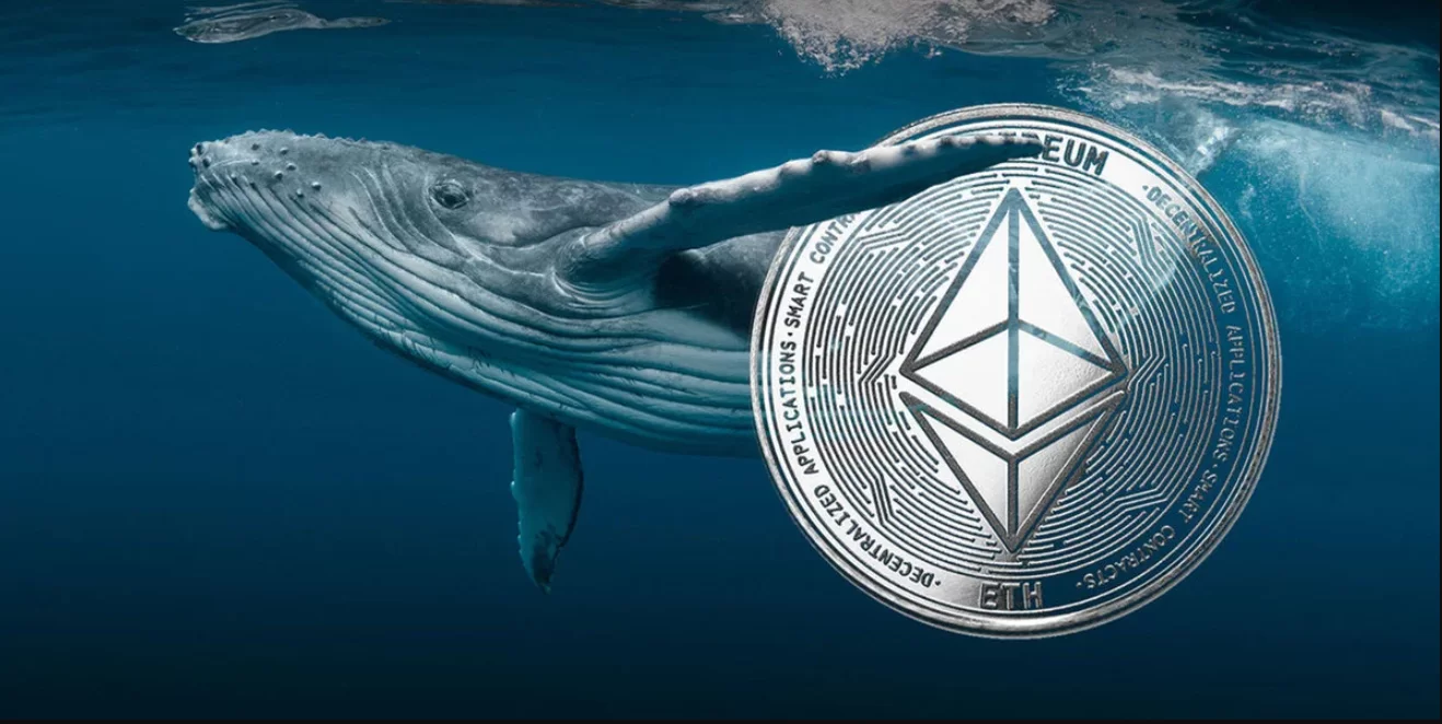 Kripto balinalarının piyasa çöküşünde tercih ettiği 2 token