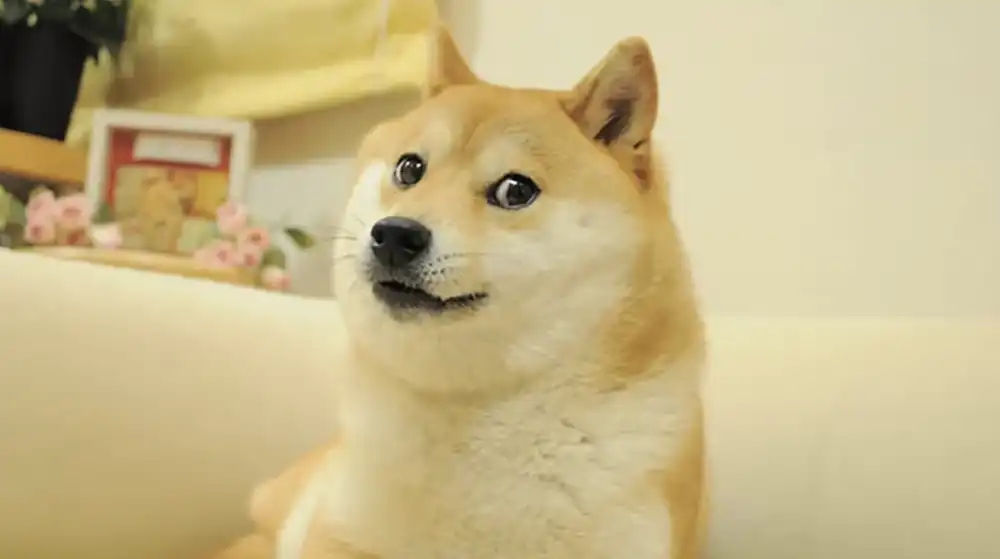 21Shares, Dogecoin ETF’i sunmak için başvuruda bulundu