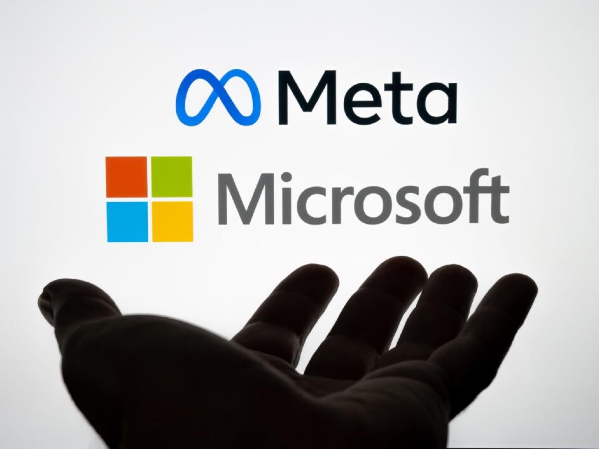 Blue Whale fonu Meta ve Microsoft’tan çıktı