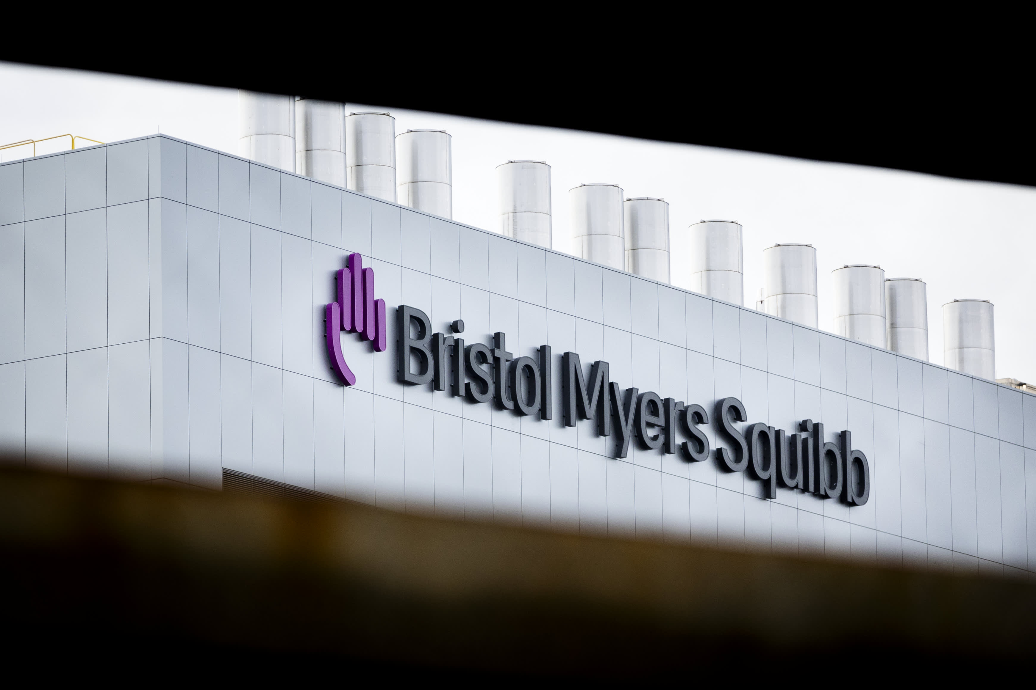 Bristol-Myers Squibb’in kârı beklentileri aştı