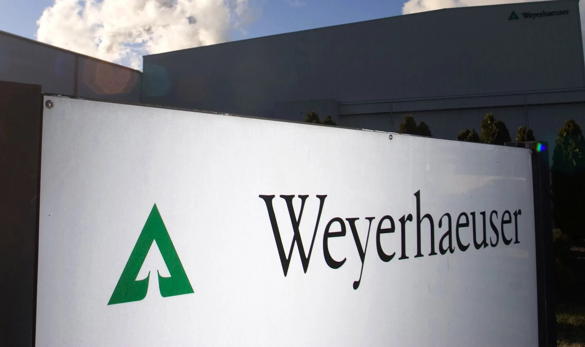 Weyerhaeuser’in gelir ve kârı düştü