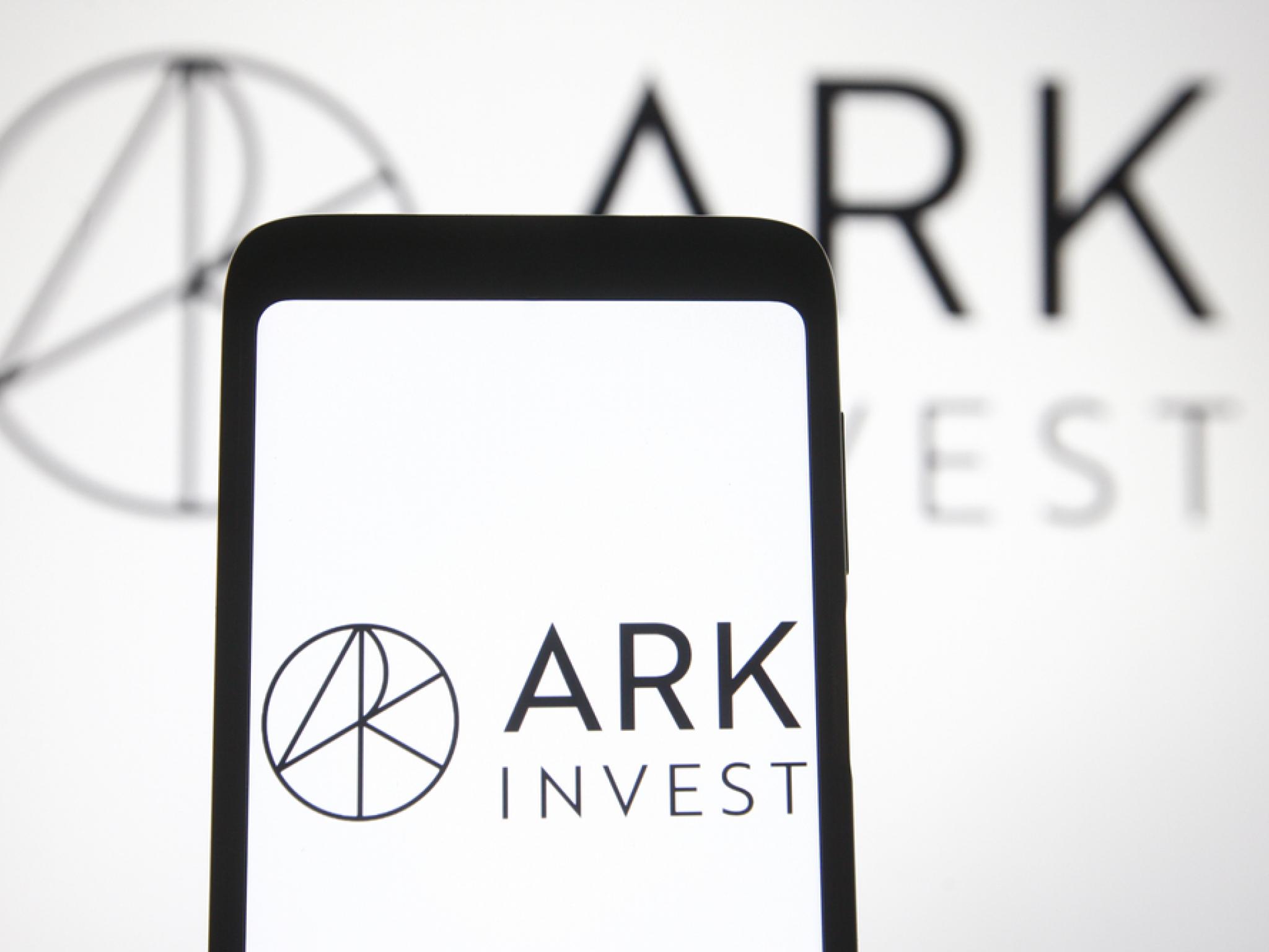 Ark Invest’ten Meta, AMD ve Shopify hamlesi
