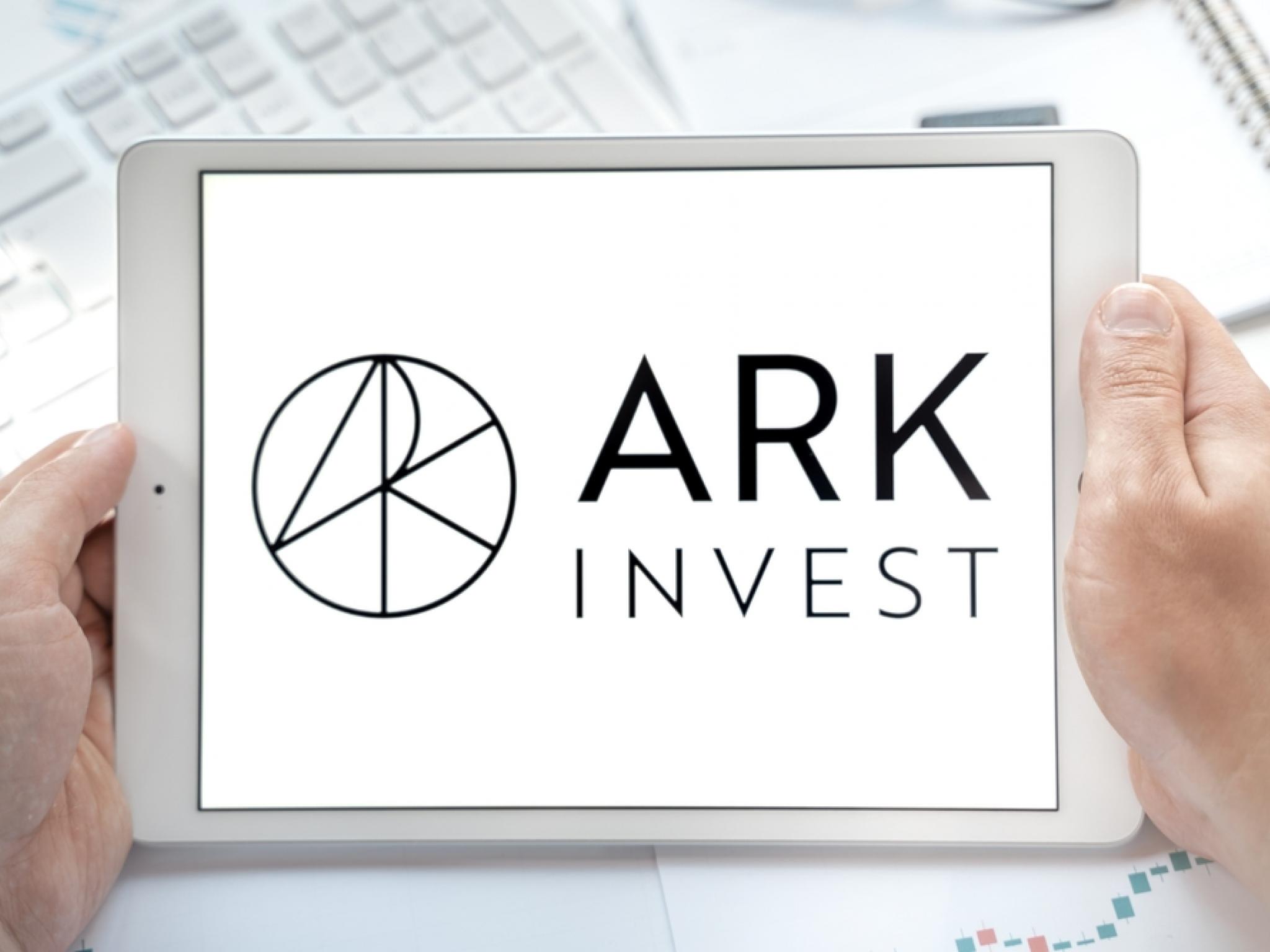 Ark Invest’ten Palantir, AMD ve Shopify hamlesi