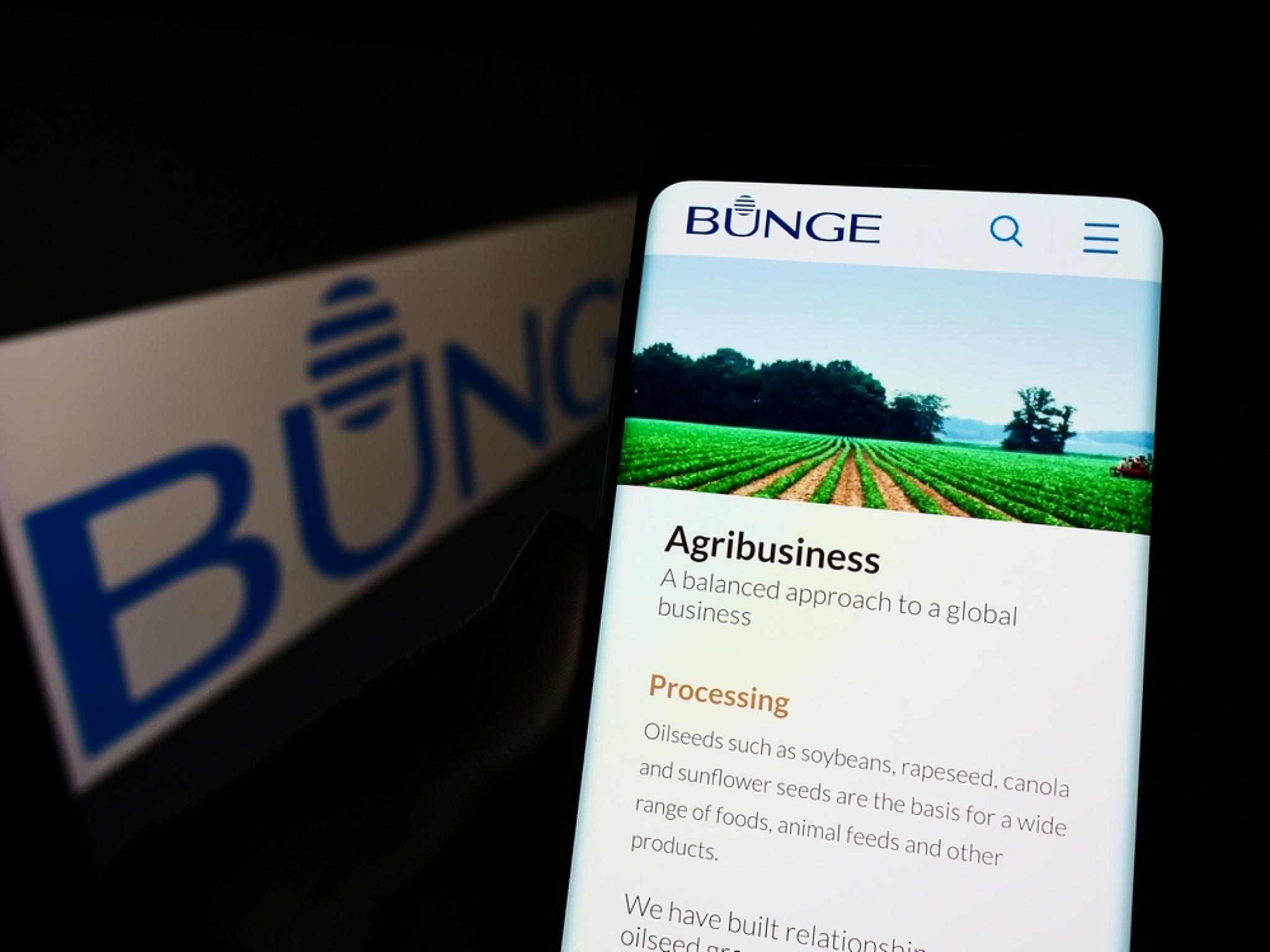 Bunge’ın gelirleri düştü