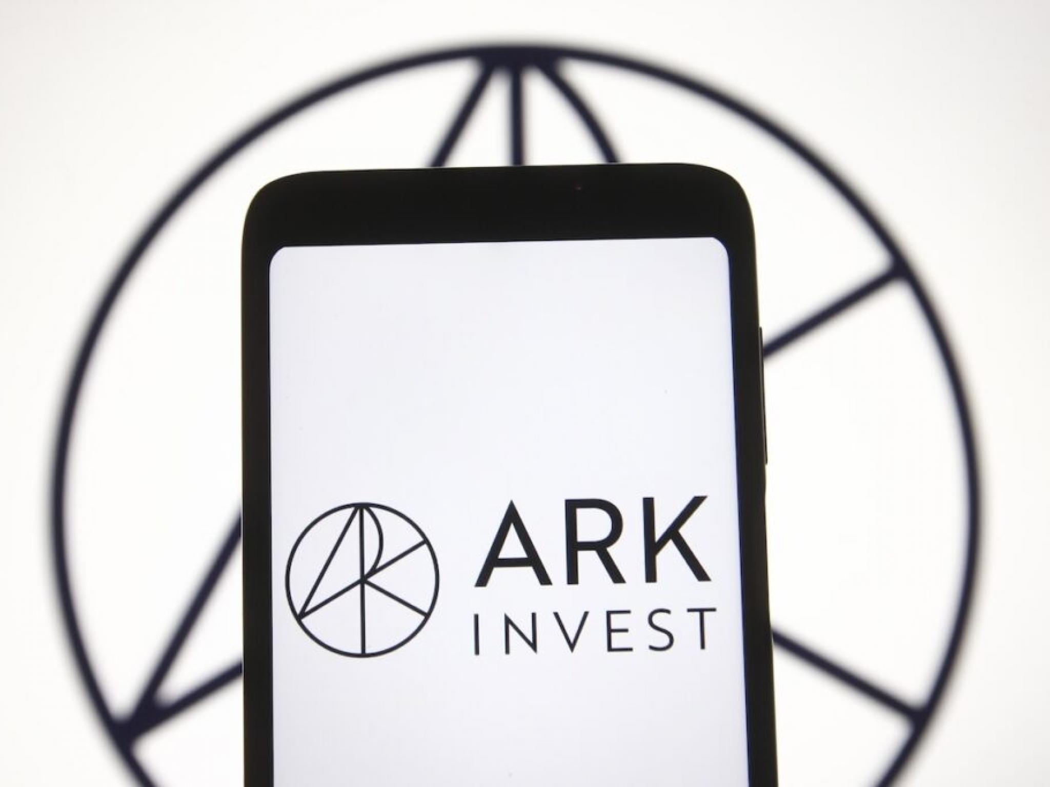 Ark Invest’ten dikkat çeken hisse alım satımları