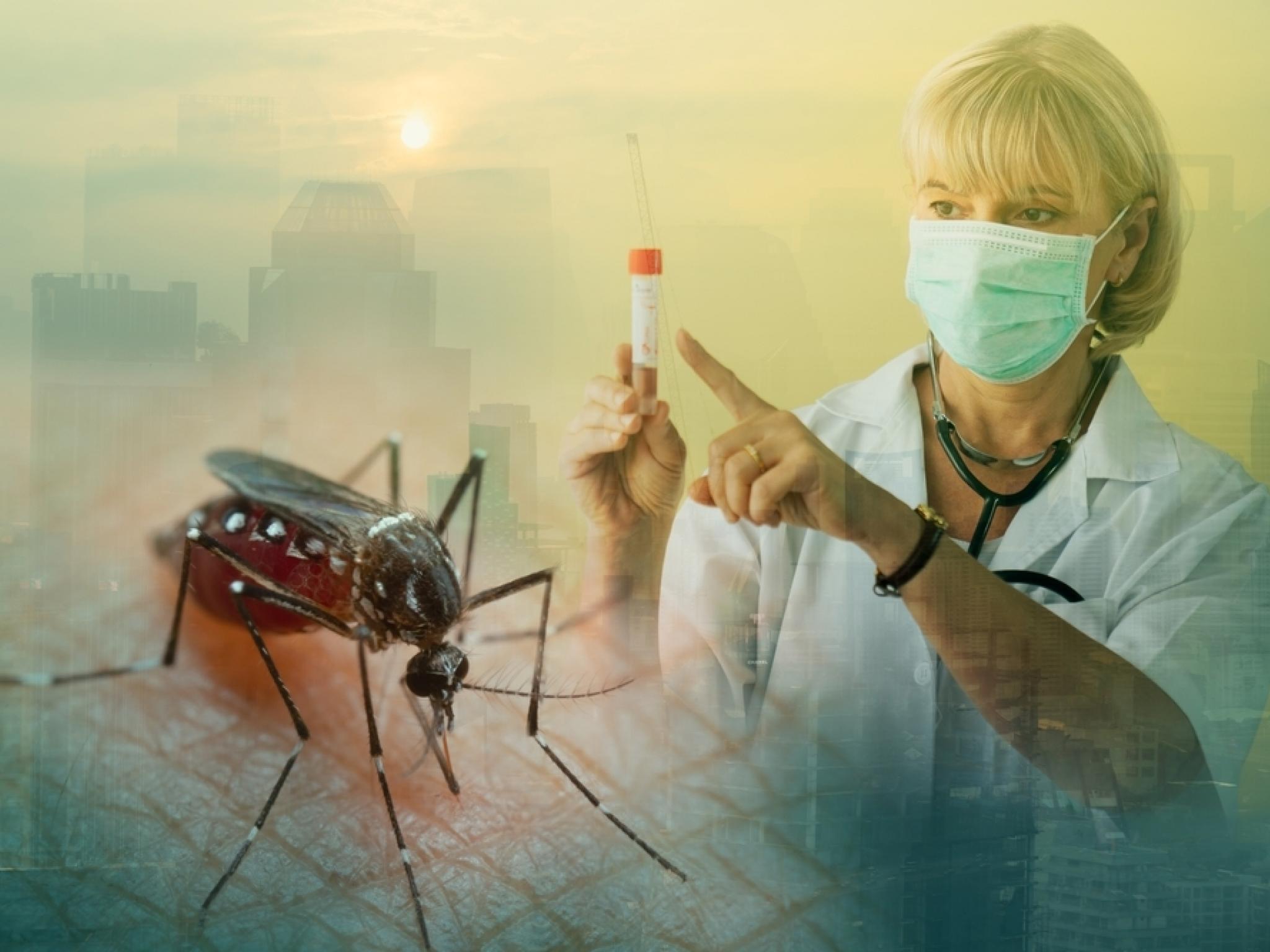 FDA, Valneva’nın chikungunya aşısını askıya aldı