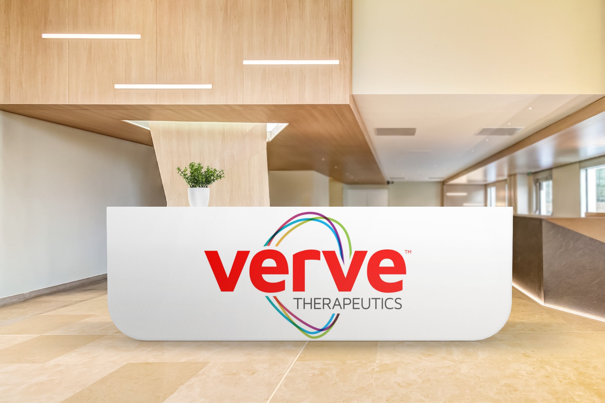 Verve Therapeutics’in zararı azaldı