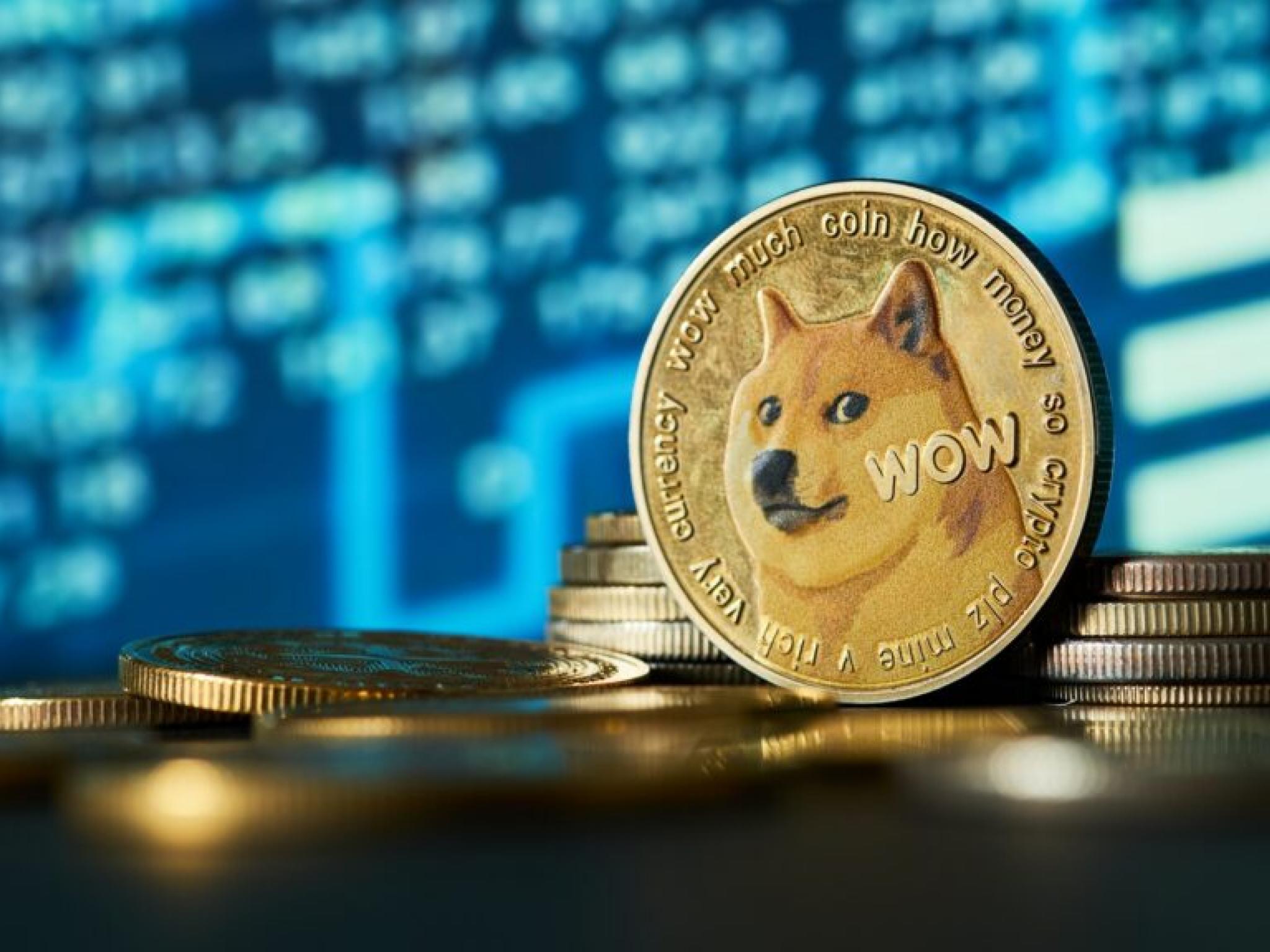 Dogecoin balinaları agresif alımlar yapıyor