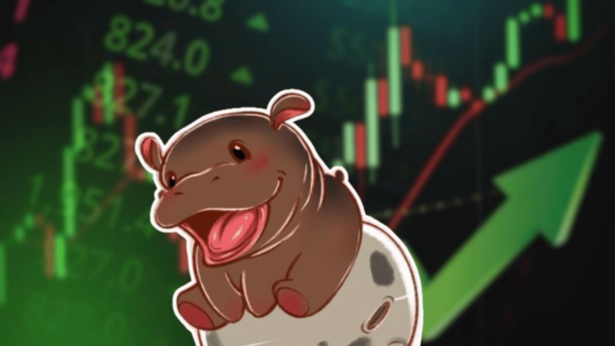 Mayısta ralli yapan üç altcoin: PNUT, MOODENG ve GOAT 