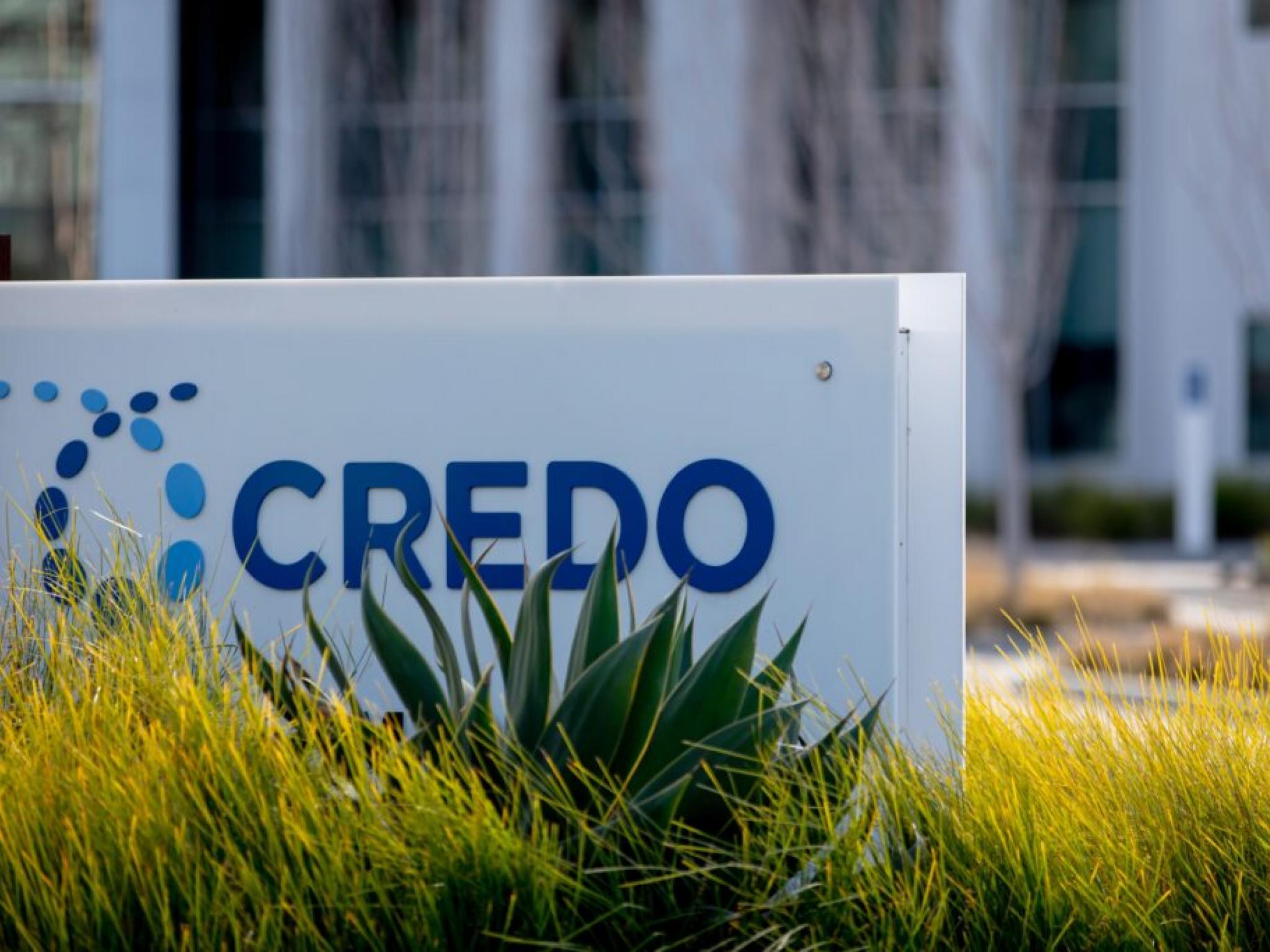 Credo Technology’nin gelirleri beklentileri aştı