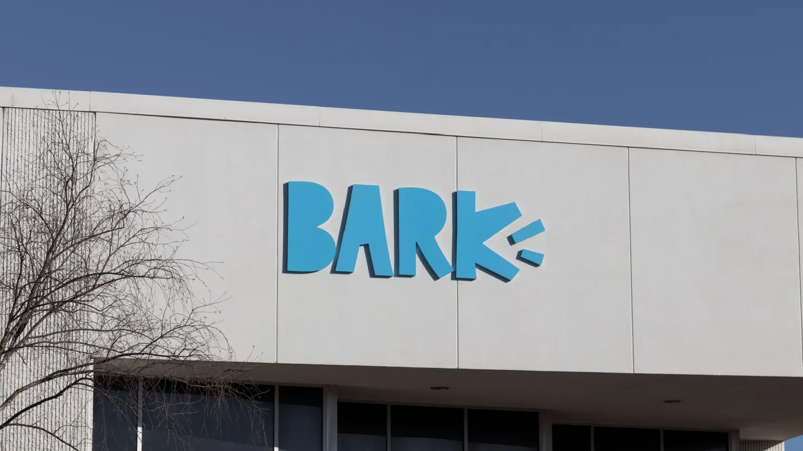 BARK’ın gelirleri düştü
