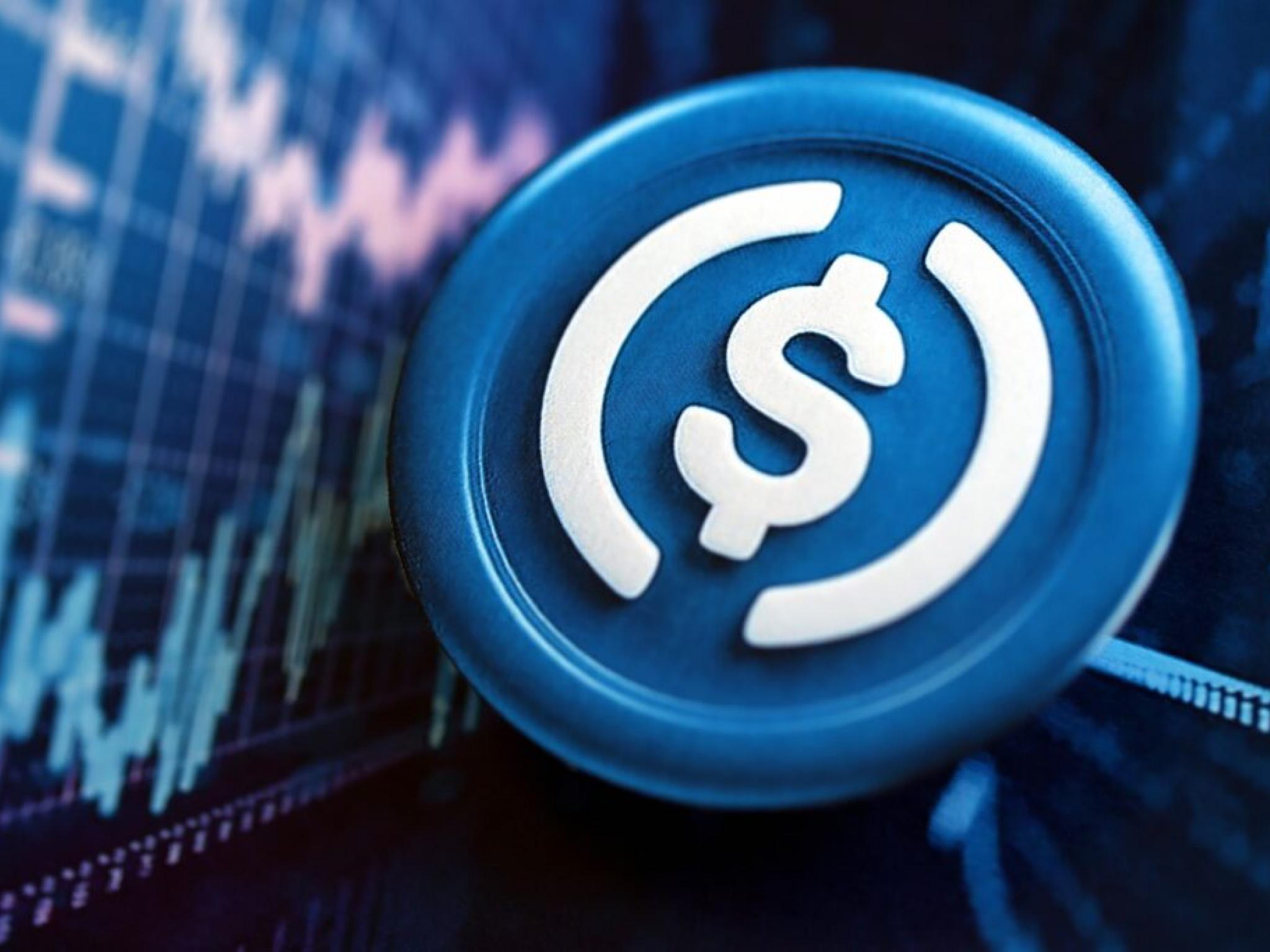 Circle hisseleri yükselişini sürdürüyor