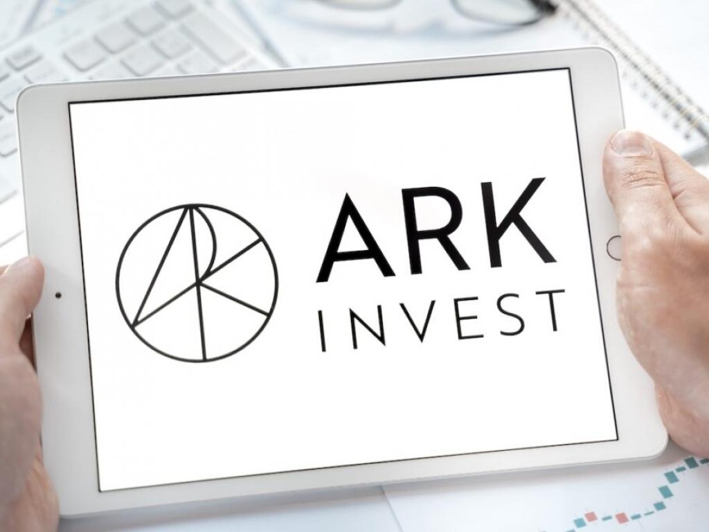 Ark Invest’ten teknoloji hisselerine yatırım