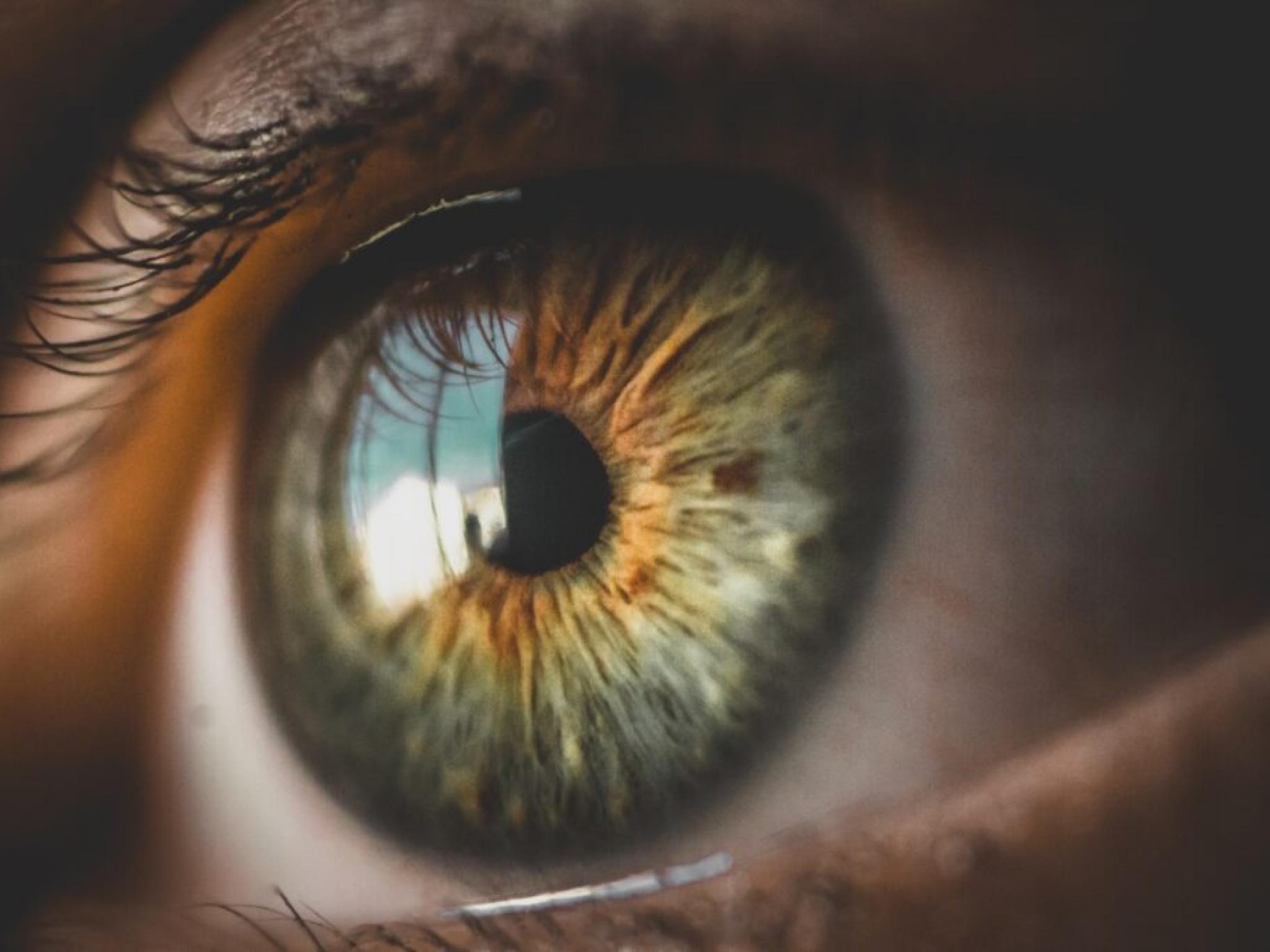 Ocugen hisseleri OrthoCellix birleşmesiyle düştü