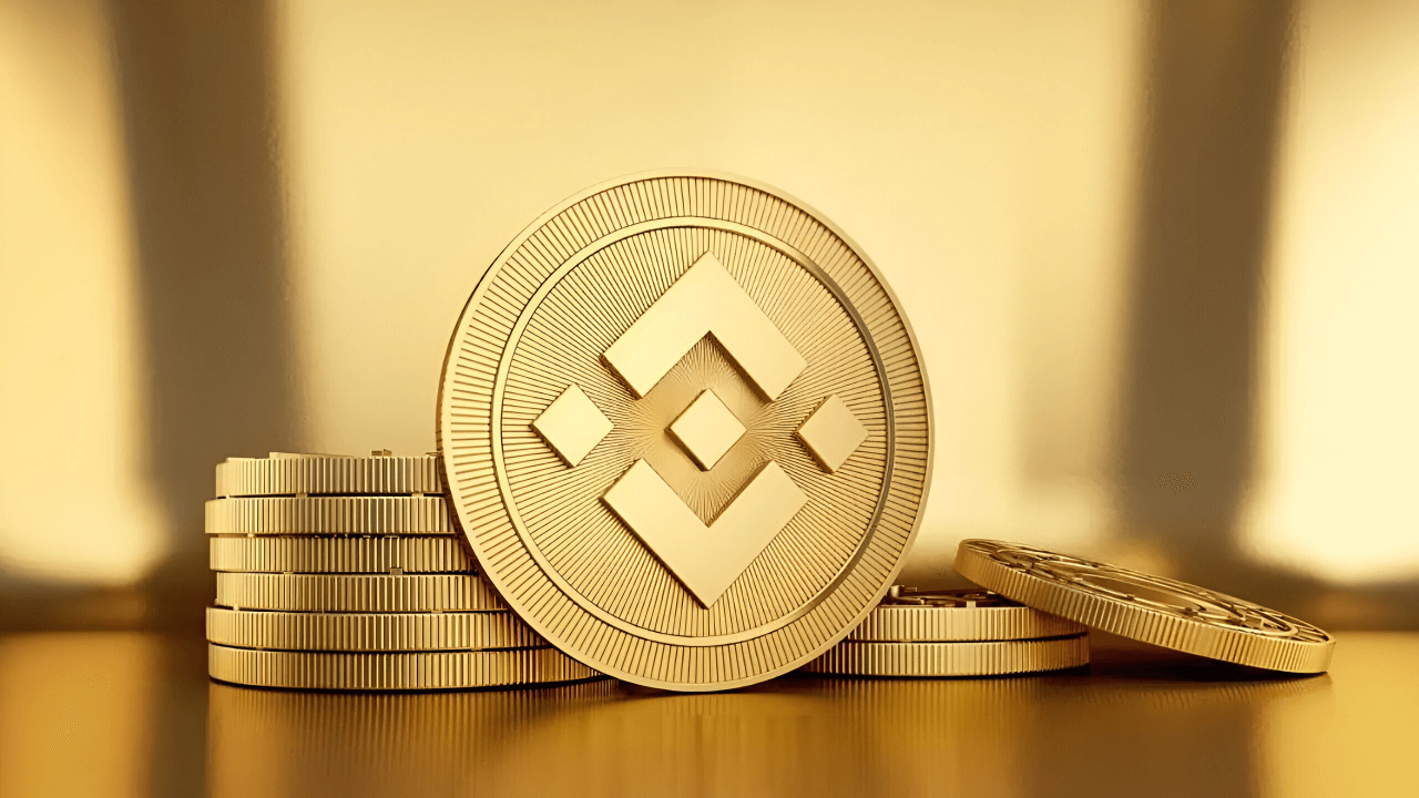 Hedge fon yatırımcıları, 100 milyon dolarlık BNB hazinesi planlıyor
