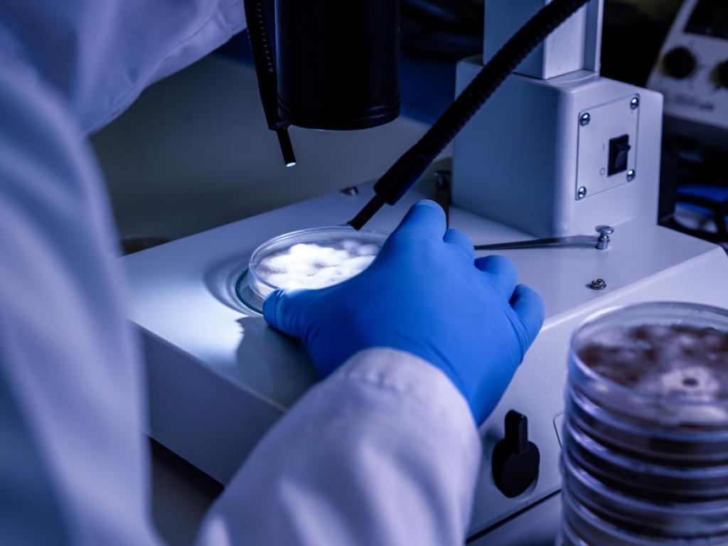 Artelo Biosciences’ın ağrı ilacı olumlu sonuç verdi