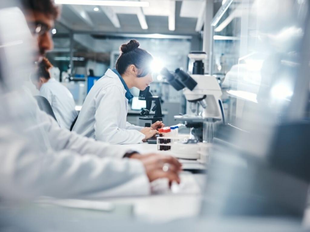 Sonnet BioTherapeutics hisseleri dalgalandı