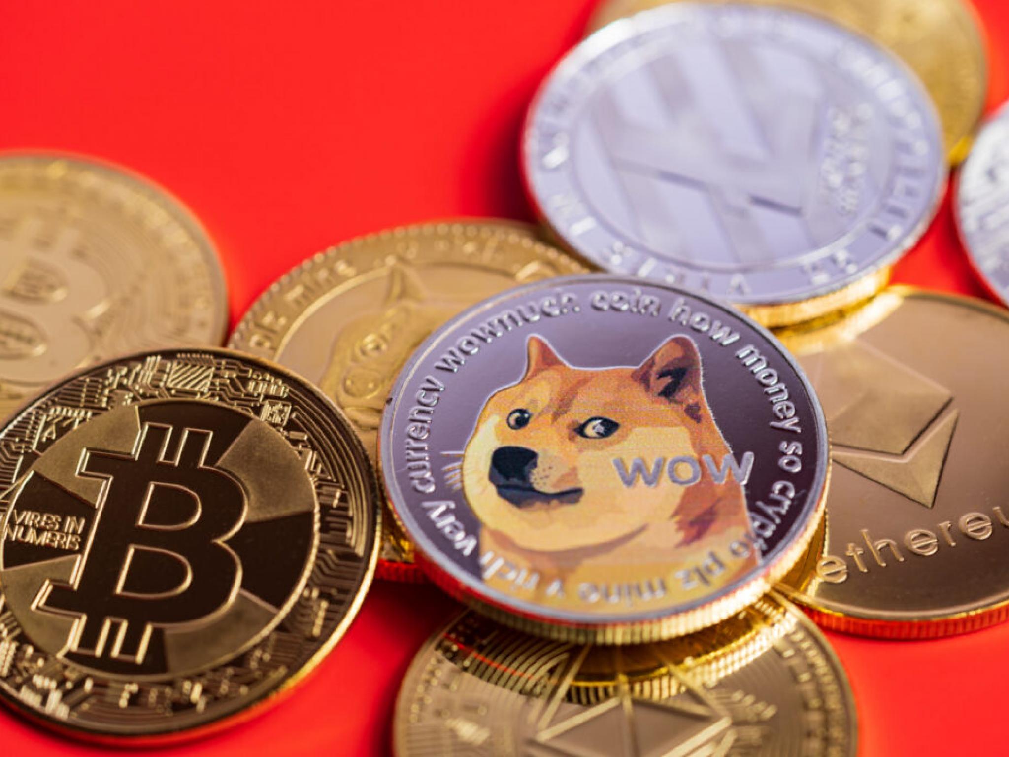Bit Origin, Dogecoin için 500 milyon dolarlık hazine kuruyor