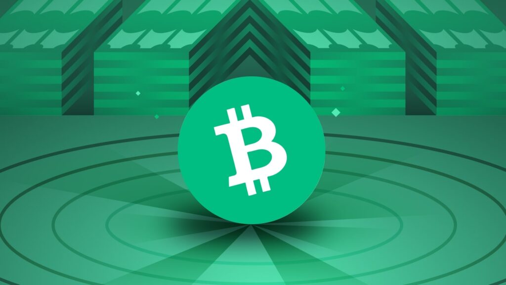 Bitcoin Cash (BCH) Nedir? Geleceği Nasıl? Bitcoin Cash (BCH) Nedir? Geleceği Nasıl?