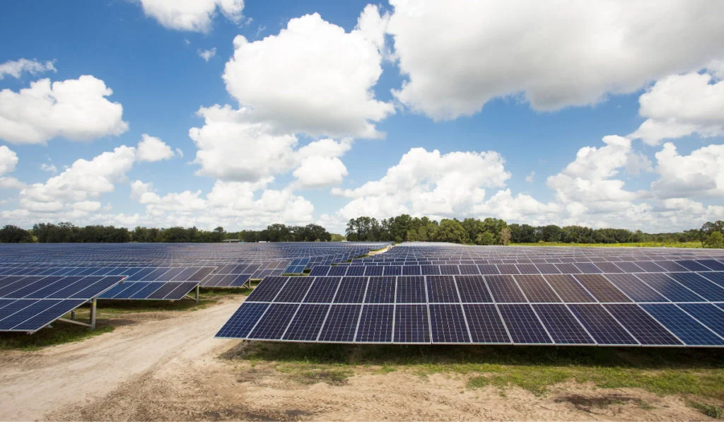 NextEra Energy’nin kârı beklentileri aştı