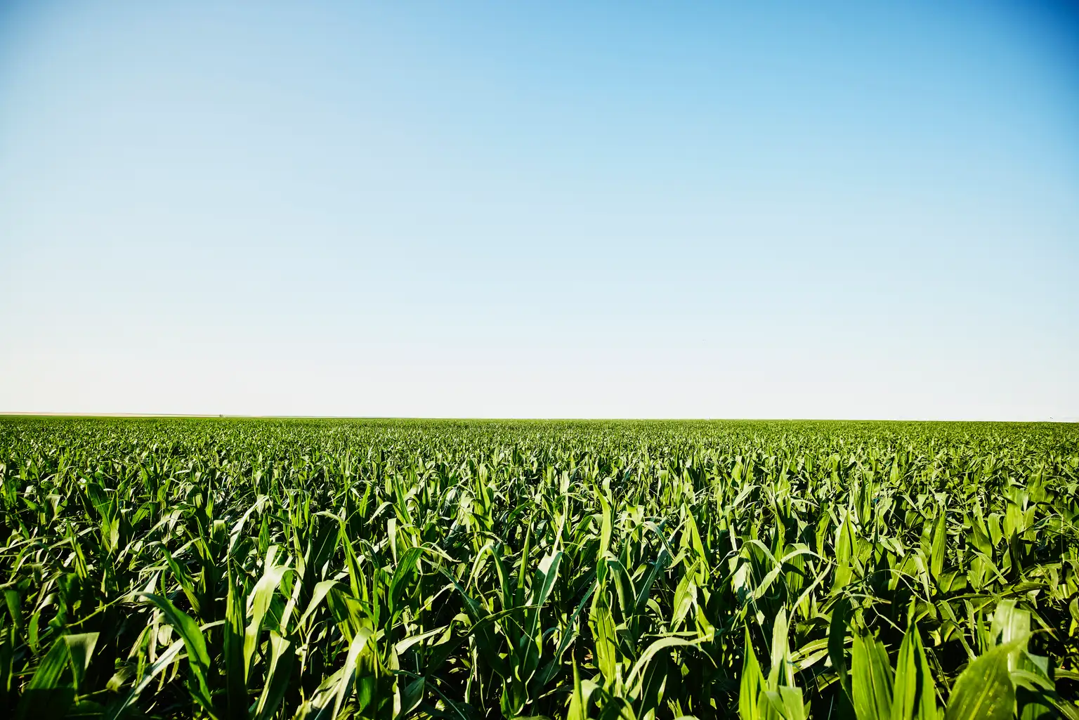 Farmland Partners’ın gelirleri azaldı