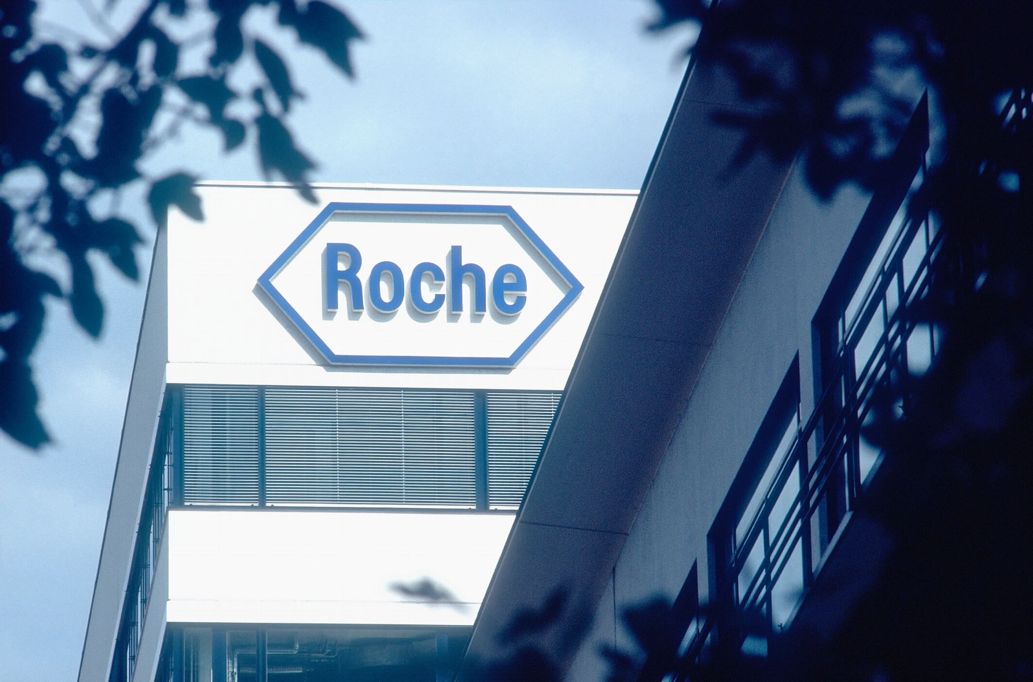 Roche’un grup satışları 7% büyüdü