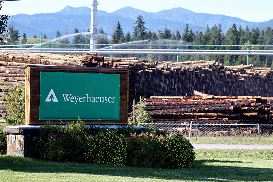 Weyerhaeuser’in kârı 42% azaldı