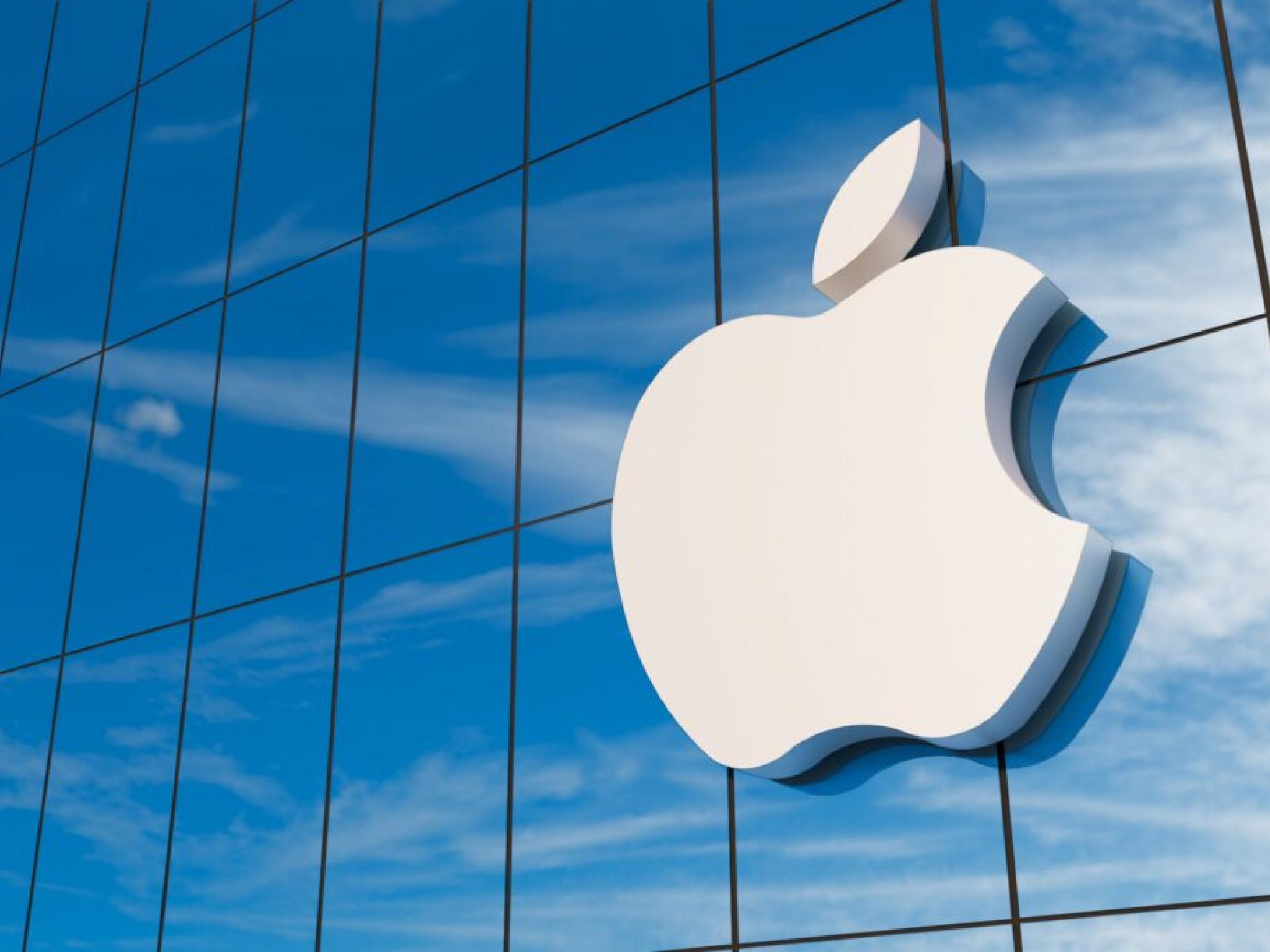 Apple, AB düzenlemelerinin dolandırıcılık riskini artırdığını belirtti