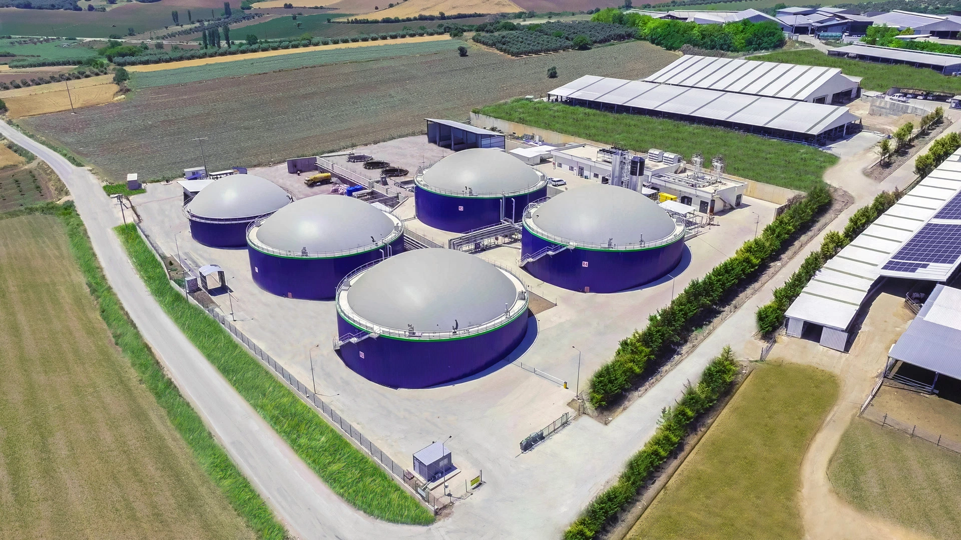 Ecogreen Enerji Holding halka arzı hakkında bilmen gereken her şey! – 2025