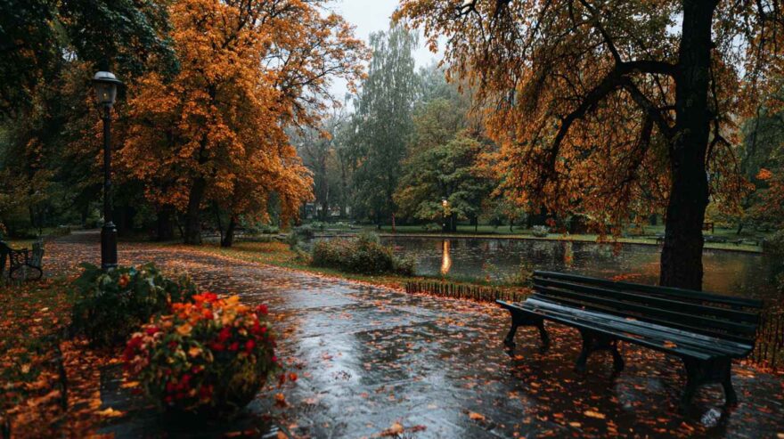 Haftanın Manşetleri: Nvidia bilançosu, 13F bildirimleri, SASA’nın yeni yatırımı Haftanın Manşetleri: Nvidia bilançosu, 13F bildirimleri, SASA’nın yeni yatırımı